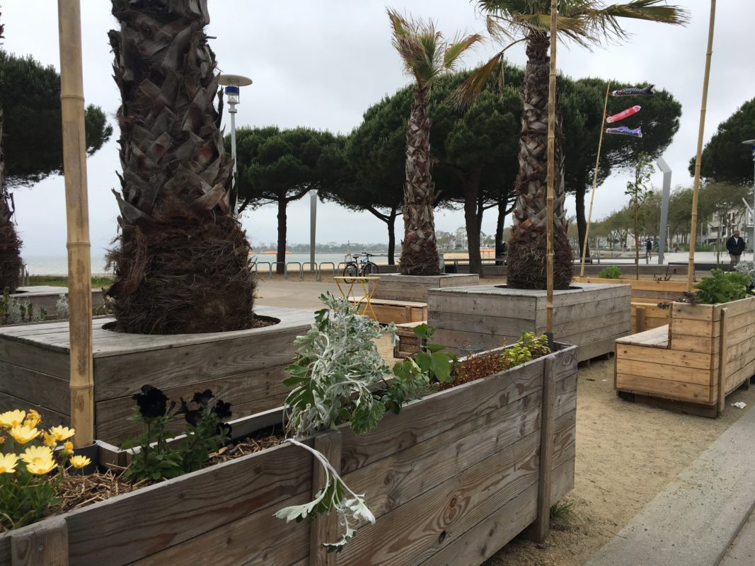 Sous Les Palmiers La Plage Green Food Label Le Label